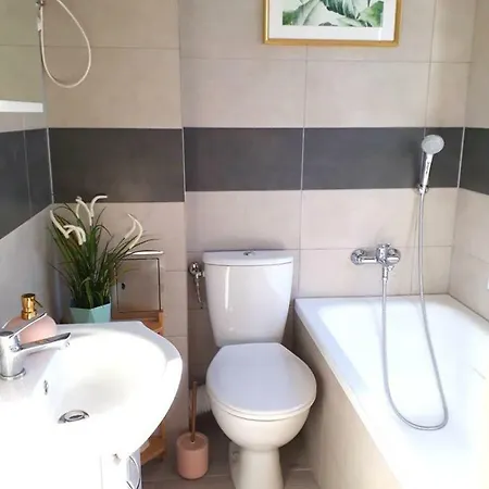 Luksusowy Apartament Przy Centrum * Vratislav